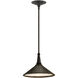 Manuscript 1 Light 13 inch Mole Black Pendant Ceiling Light, Medium